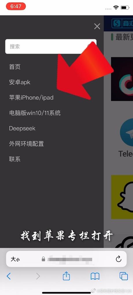 snapchat免费安装入口缩略图