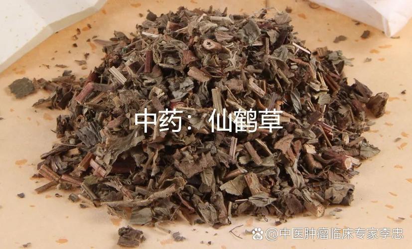 千鹤草功能