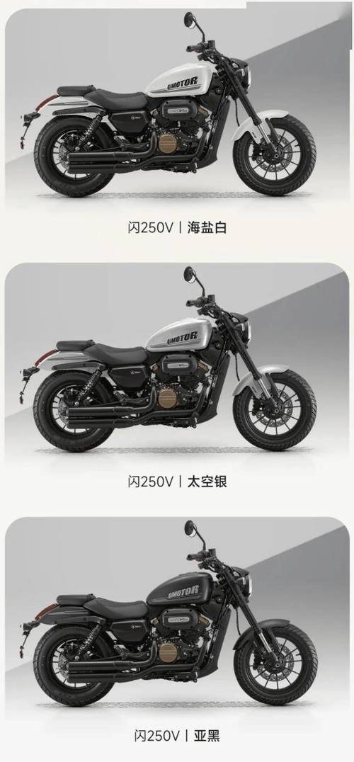 钱江摩托全部车型价格缩略图