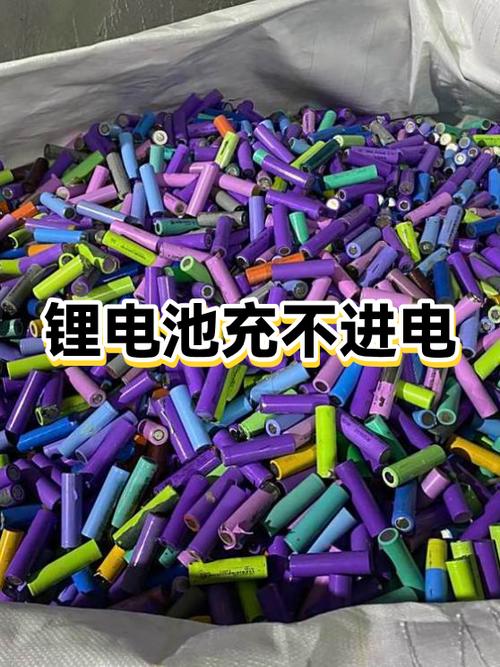锂电池放久了充不进电游戏截图