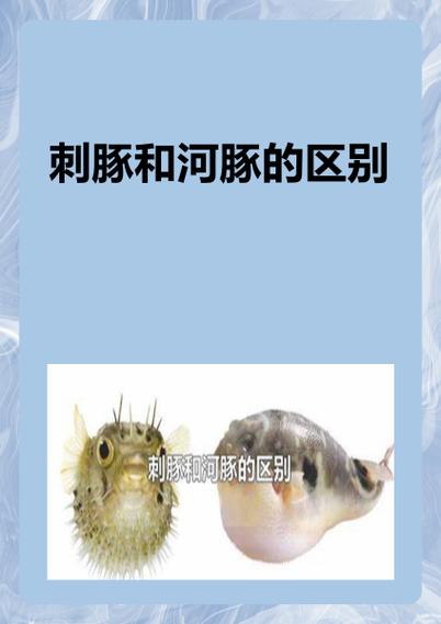 刺河豚皮煲汤有啥作用
