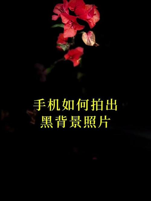 手机黑背景照片如何拍摄缩略图