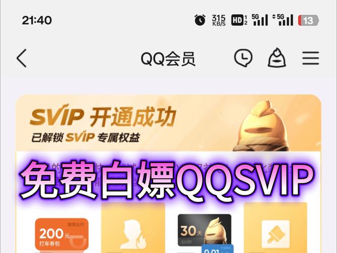 qqSVIP免费获取图标