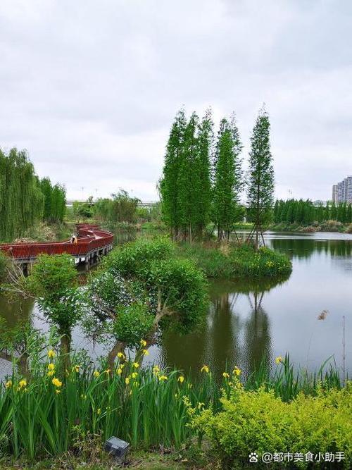 湿地公园的管理由什么制定