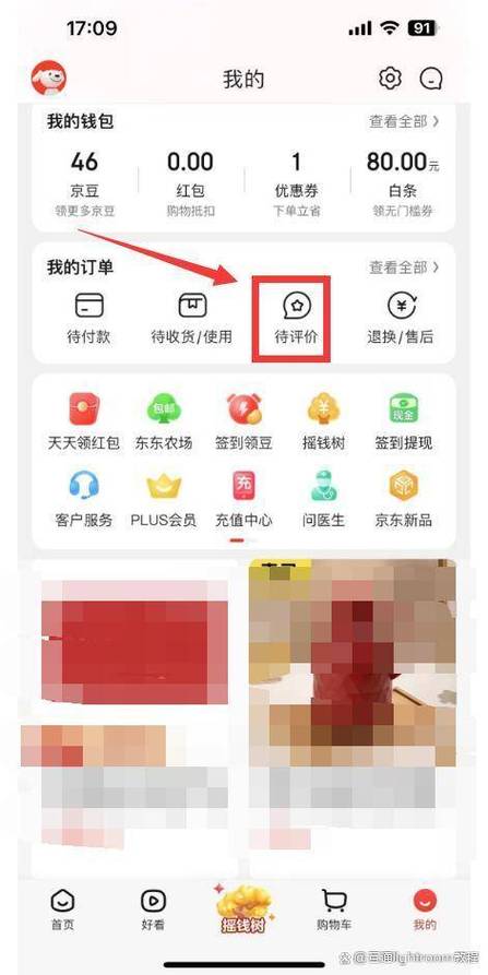 京东订单怎么评价不了