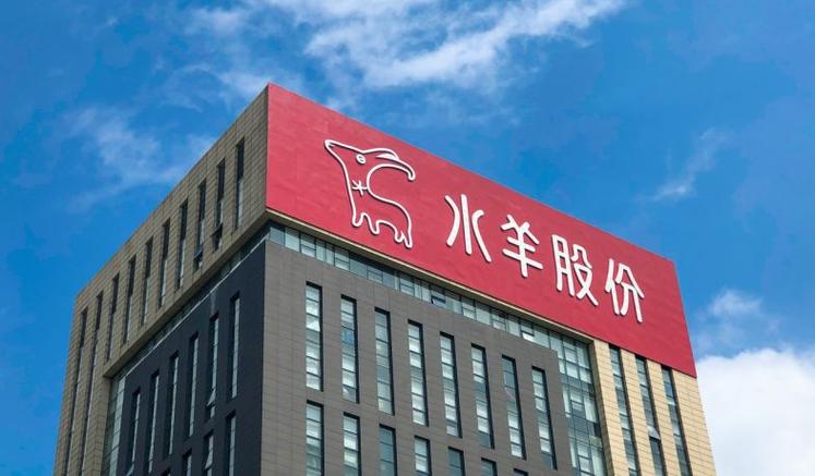 水羊集团一般人能去吗