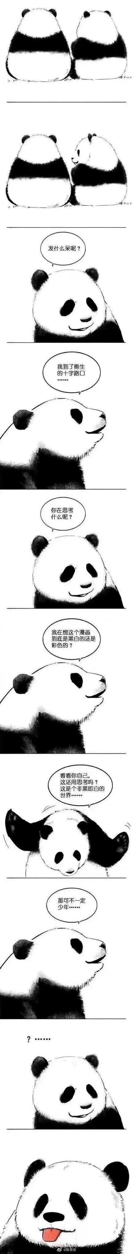 是黑是白漫画图标