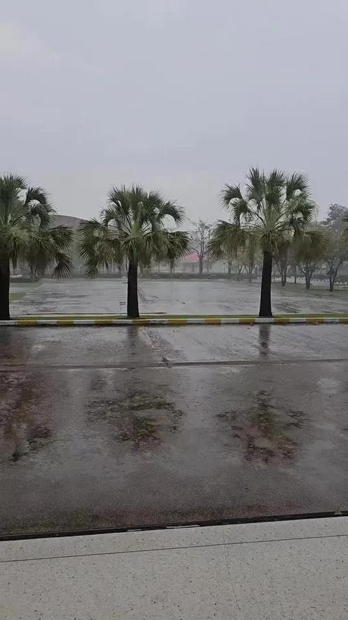 天气雨下载
