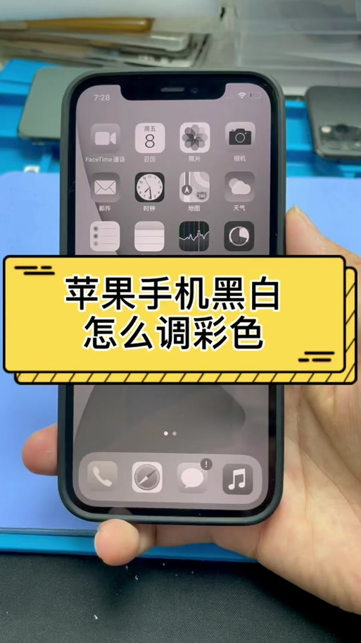 苹果手机照片黑白反色图标