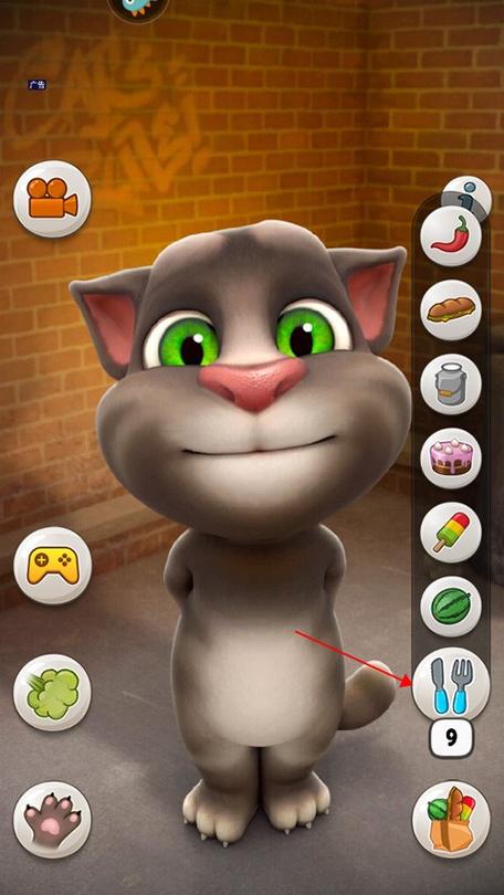 汤姆猫2009旧版本下载缩略图