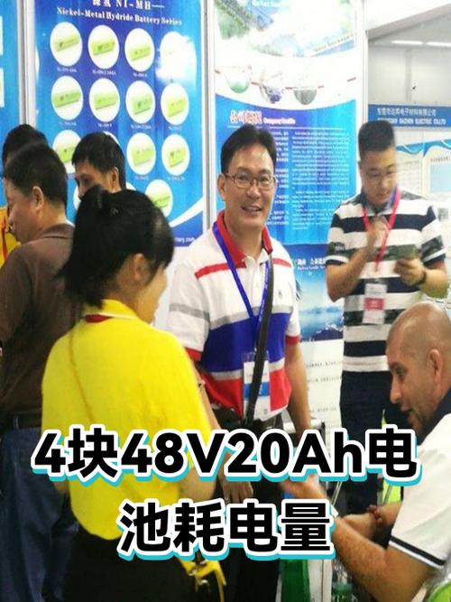 48v20ah四块一般多少钱缩略图