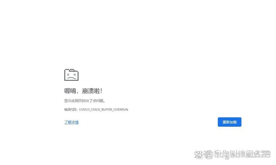 chrome浏览器一打开就闪退缩略图