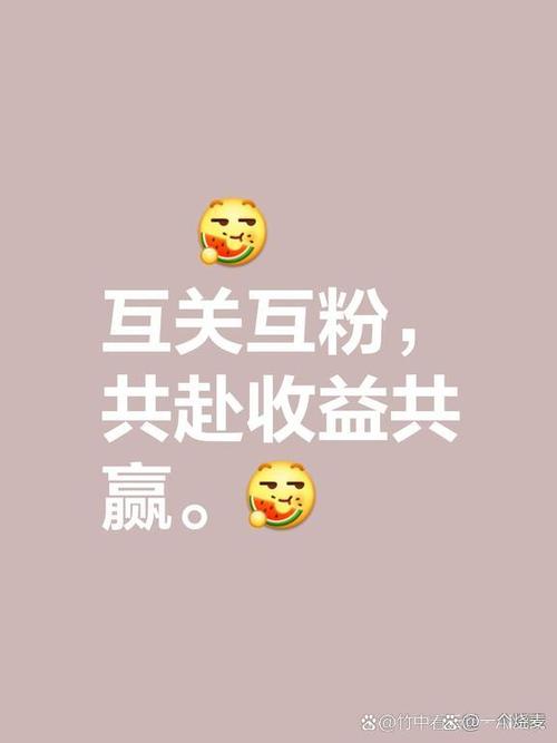 爱互粉app的推广方式