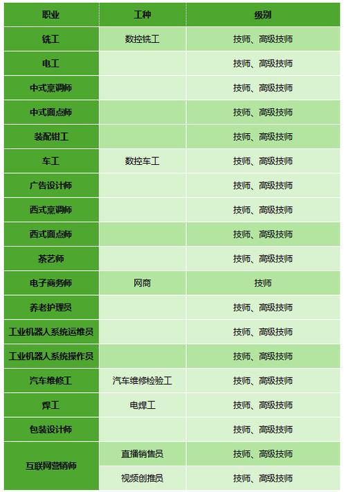 技工证有哪些工种缩略图