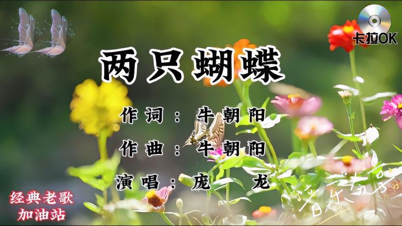 两只蝴蝶原唱完整版游戏截图