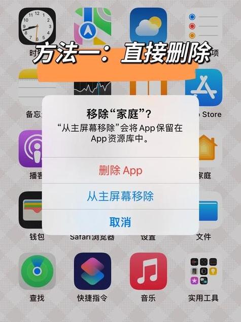 蘑菇tv最新登录入口缩略图