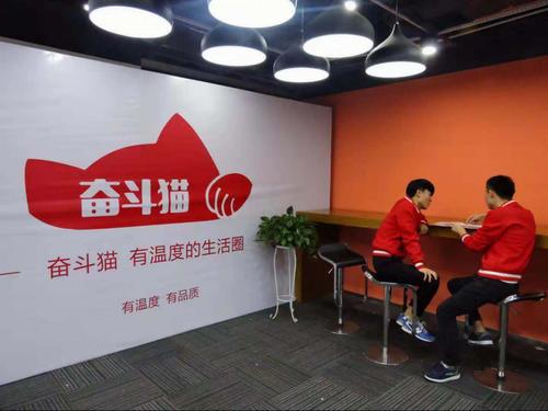 奋斗猫官网缩略图