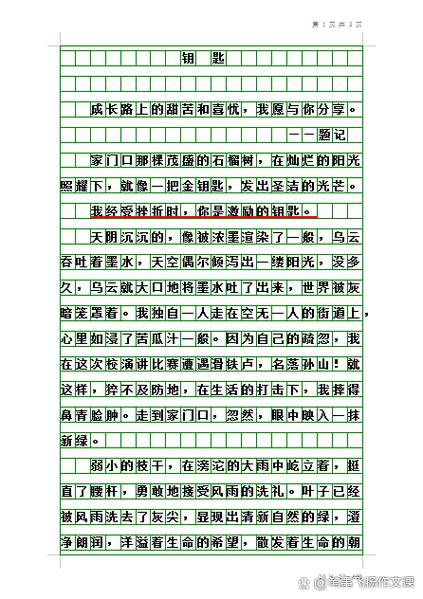 中考记叙文游戏截图