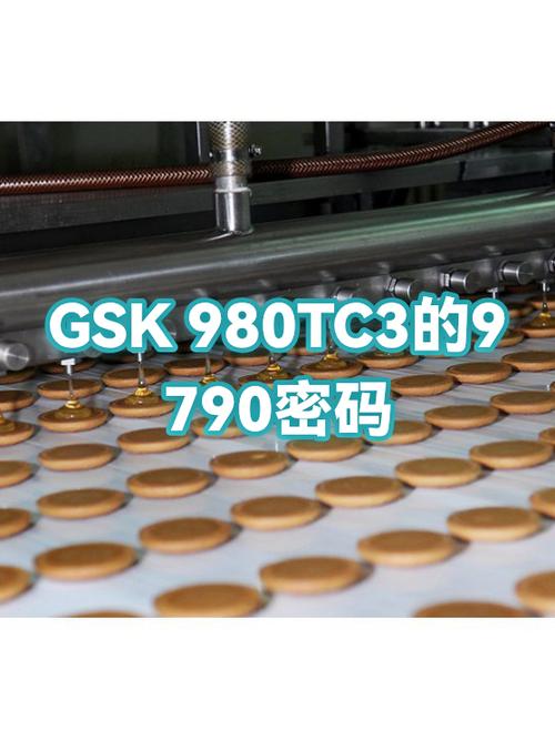 980tc3参数密码游戏截图