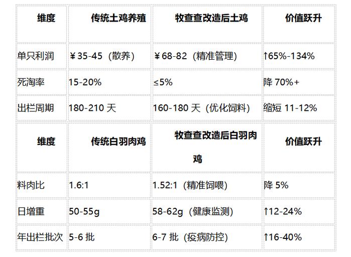 养一只鸡的成本