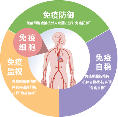 免疫治疗能根治癌症吗图标