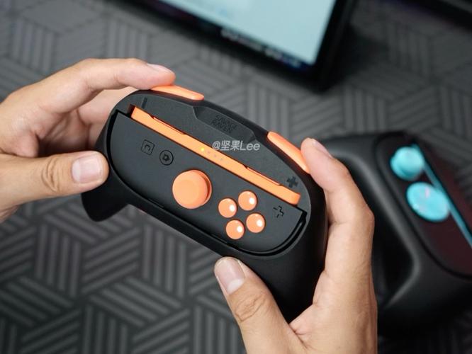 switch joycon手柄怎么用图标
