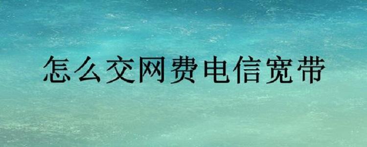怎么到网上营业厅交宽带费缩略图