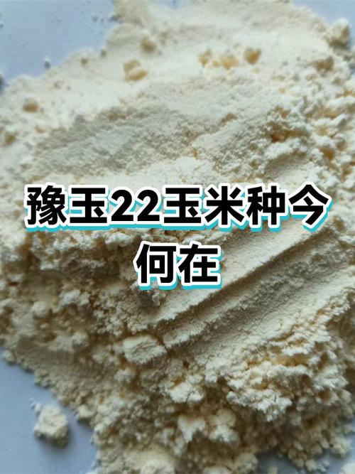 玉米密集恐惧症游戏截图