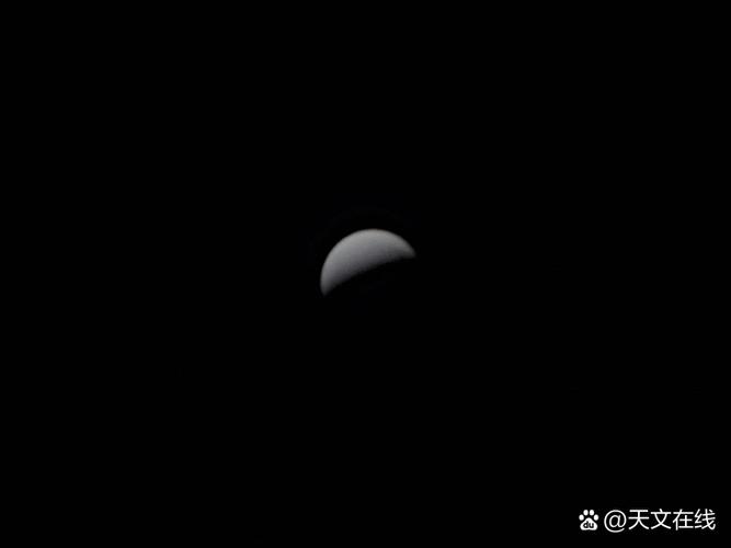 JX999金星2023