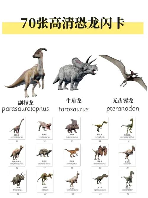 介绍恐龙的资料大全缩略图
