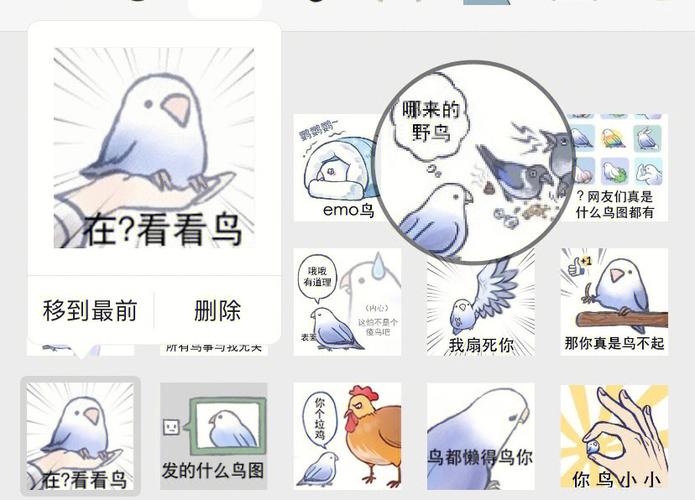 小鸟看看一天可以赚多少钱缩略图