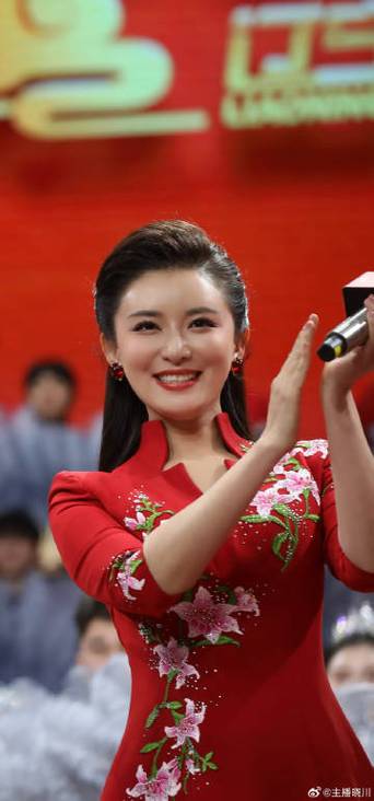 辽宁卫视新北方官网游戏截图