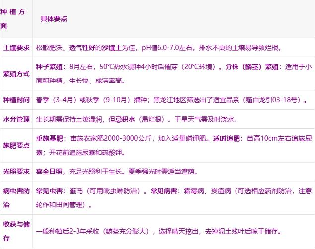 藠头是癌细胞最喜欢吃的吗图标