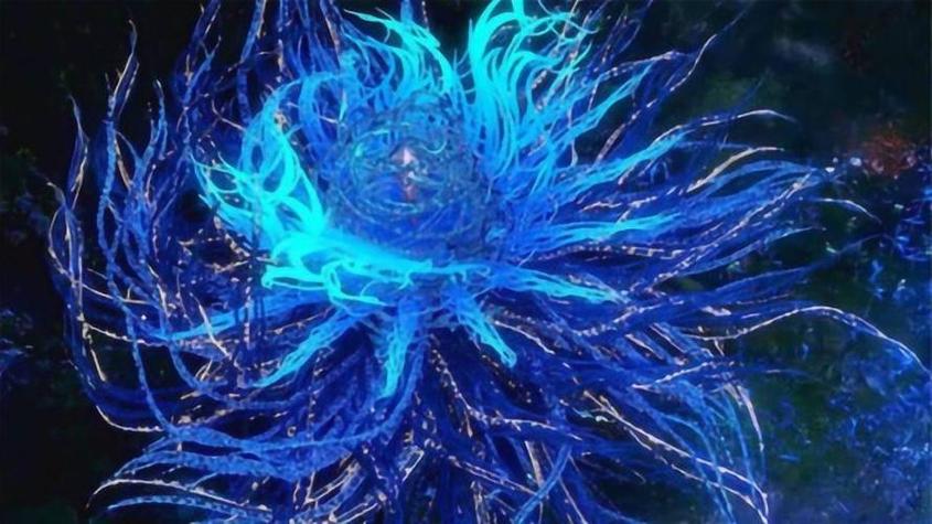 斗罗:武魂蓝银鞭,我正的发邪