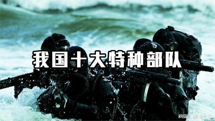 一个特种大队多少人
