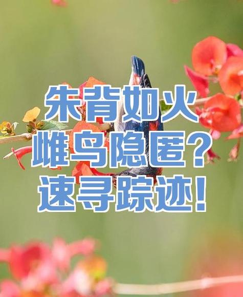 群里删除某个人的聊天记录