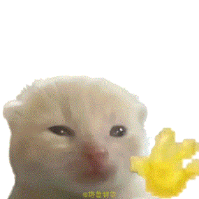 小猫gif动态表情包缩略图