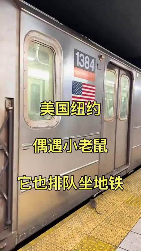老鼠能上地铁吗