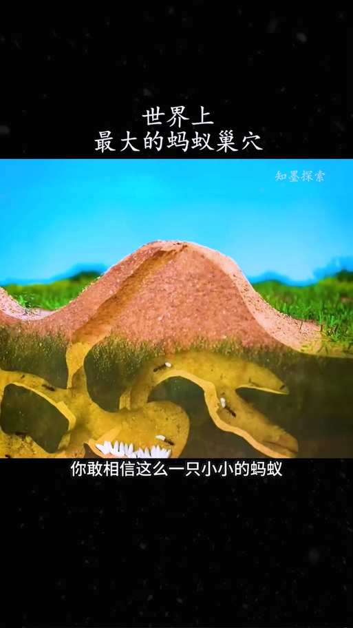 蚂蚁窝最新版本缩略图