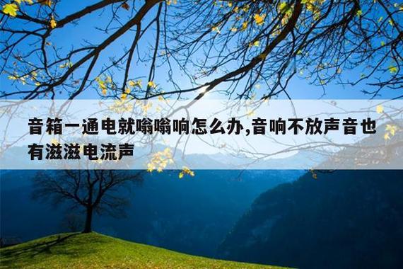 音响一开电源就嗡嗡响图标