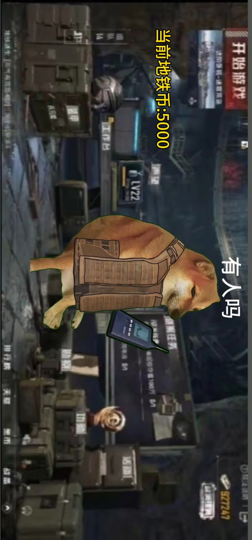 和平精英里的狗是干嘛的缩略图