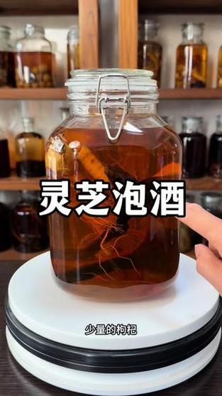 人参泡酒的功效缩略图