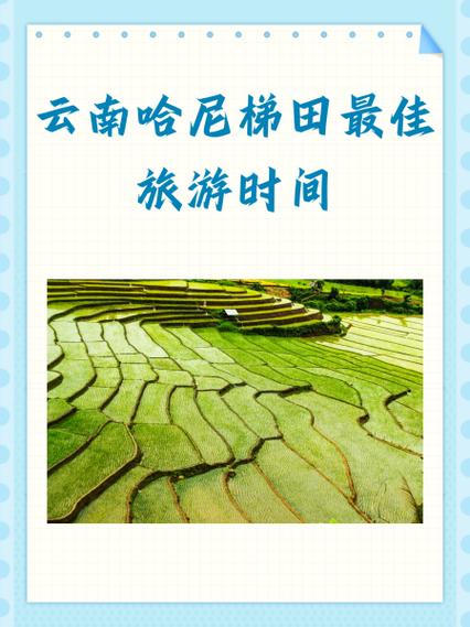 云南一般适合几月份去图标