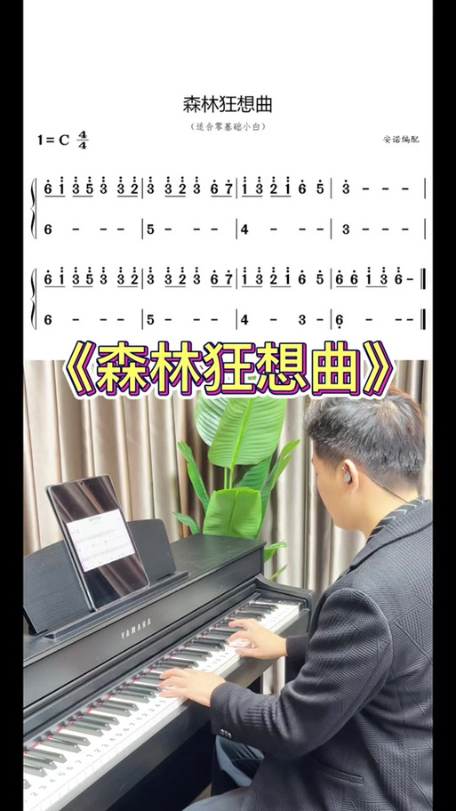 森林狂想曲钢琴曲缩略图