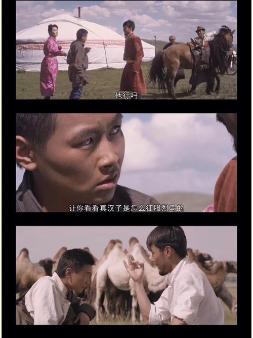 看黄金宝藏蒙古国完整版缩略图