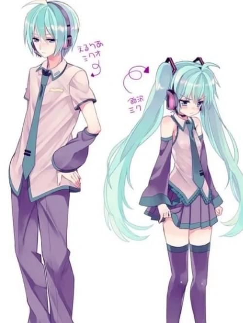 fufu和miku的区别缩略图