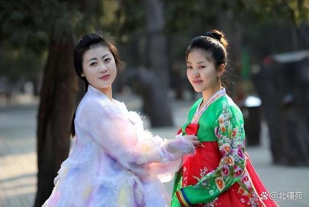 种女朝鲜剧在线播放中文版