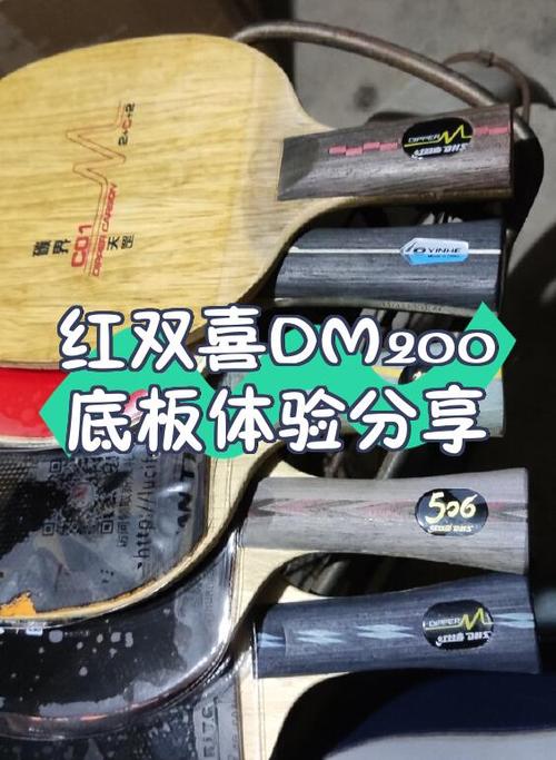dm表示什么意思图标