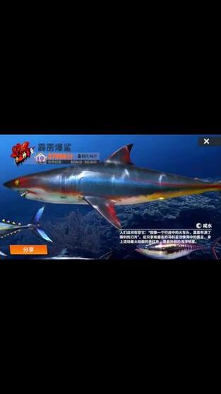 钓鱼发烧友自动钓鱼图标