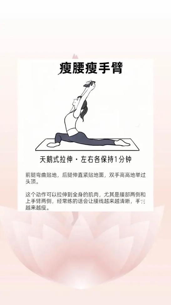 瑜伽视频教程初级在家练全套视频缩略图